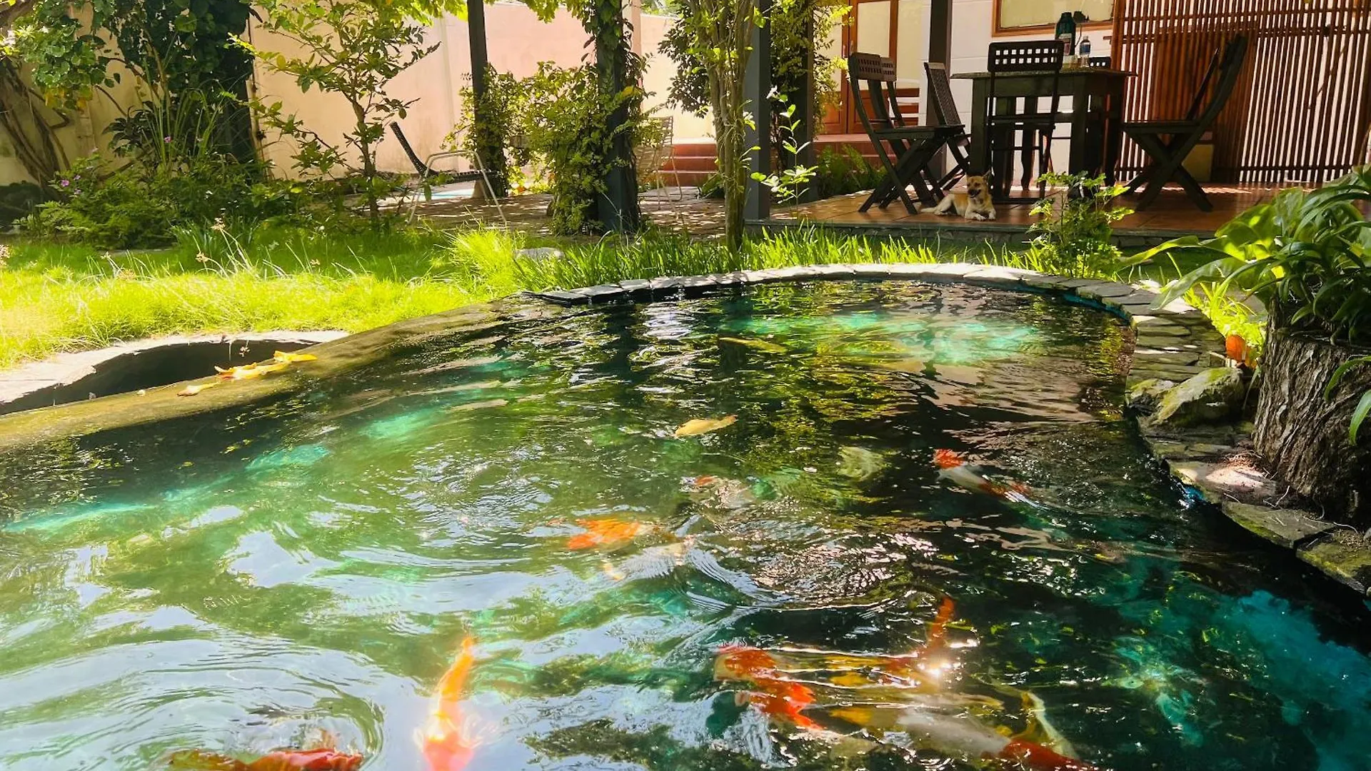 Ami Homestay Mui Ne Phan Thiết Hotel